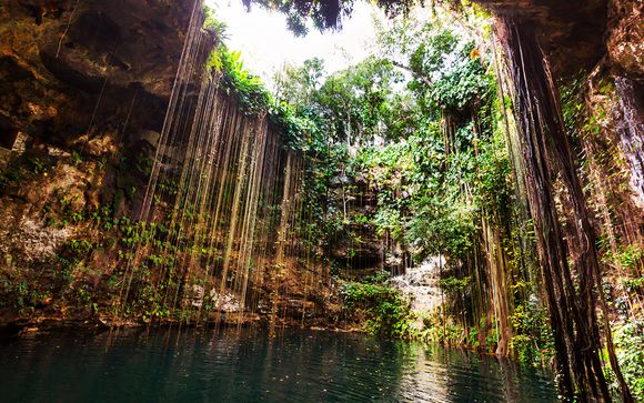 Pour aller plus loin 