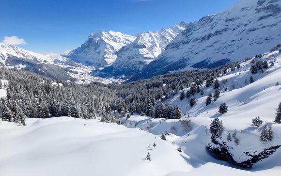 Welkom in ... Grindelwald!