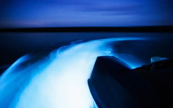 Pour aller plus loin 