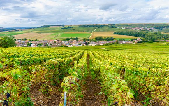 Pour aller plus loin 