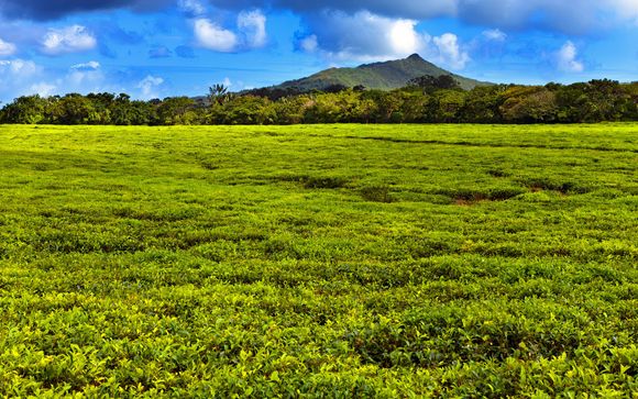 Pour aller plus loin 