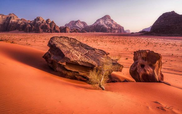 Zoom sur votre programme