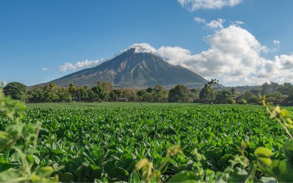 Pour aller plus loin 