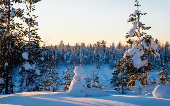 Welkom in ... Rovaniemi!