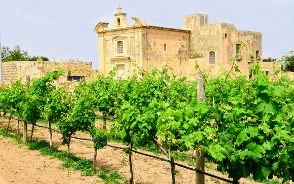 Découvrez les îles de l’archipel de Malte !