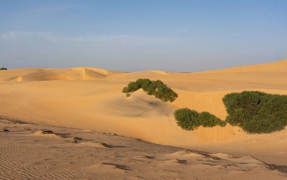 Zoom sur votre programme