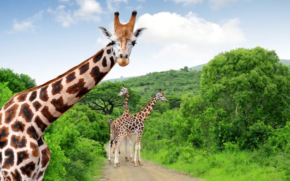 Rendez-vous en... Afrique du Sud