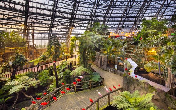 Le Dôme Equatorial, un voyage inoubliable autour de l’équateur 