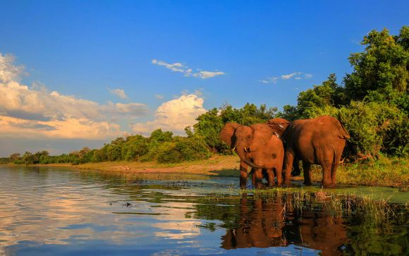 Safari pour les séjours en 11 jours / 10 nuits