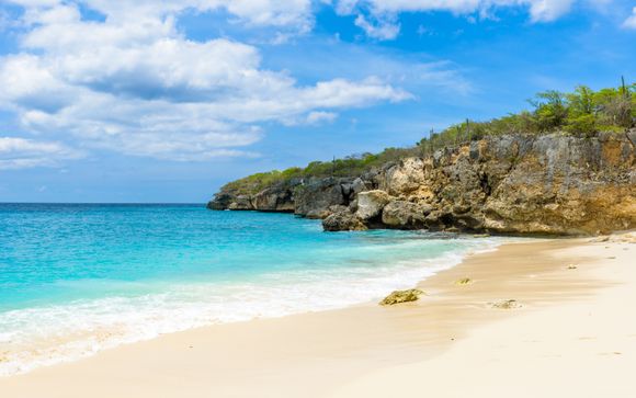 Mettez une option sur l