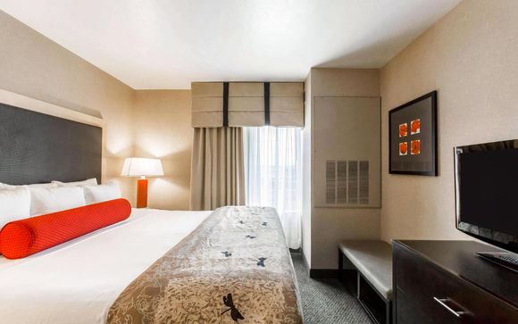 Accommodatie
