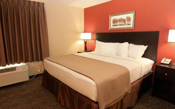 Accommodatie
