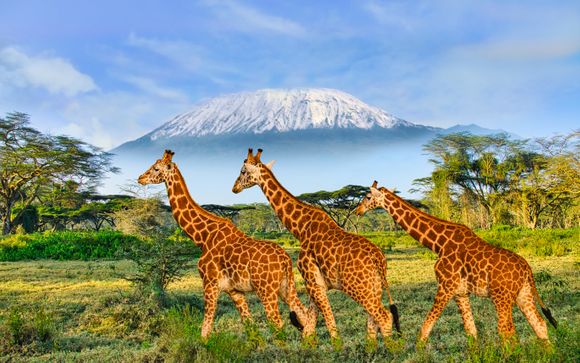 Welkom in... Kenia!