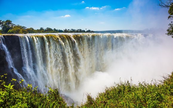 Zoom sur votre programme