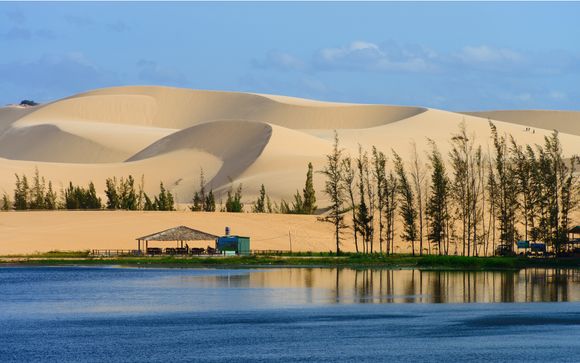 Zoom sur votre programme