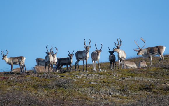 Zoom sur votre programme