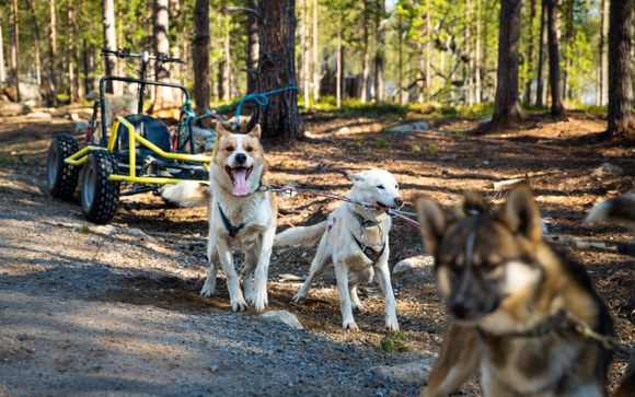 Vos excursions pour plus d