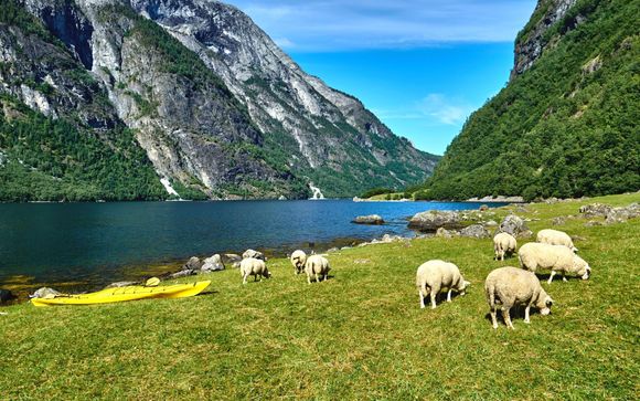 Zoom sur votre programme