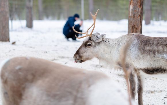 Vos excursions incluses