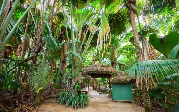 Mettez une option sur l