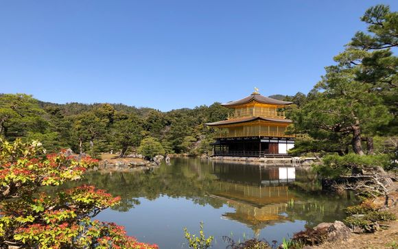 Zoom sur votre programme