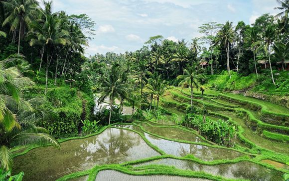 Welkom in... Indonesië!