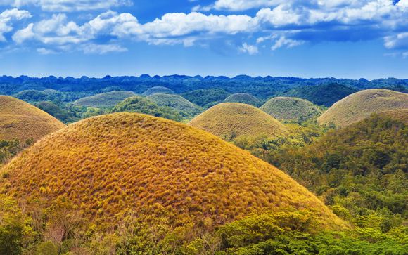 Zoom sur votre programme