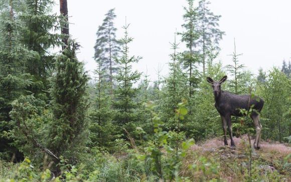 Mettez une option sur l