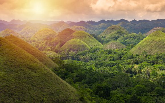 Zoom sur votre programme