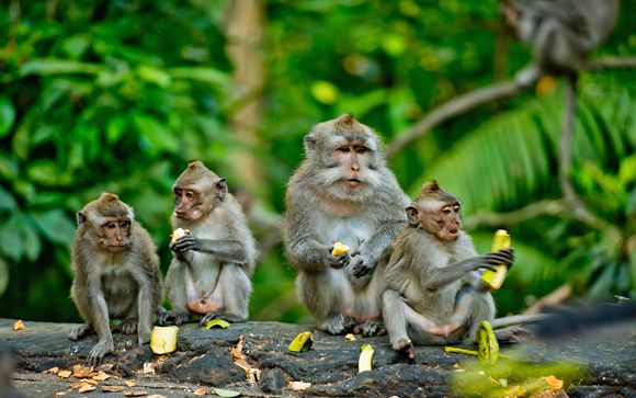Welkom in... Indonesië!
