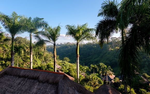 Welkom in... Bali!