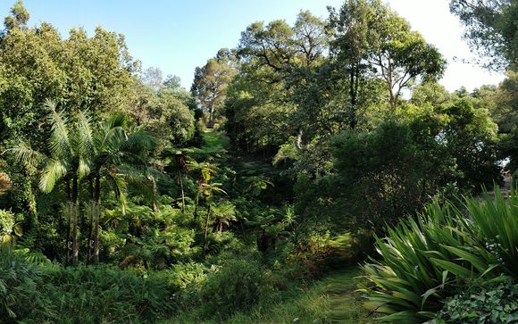 Et pour aller plus loin...