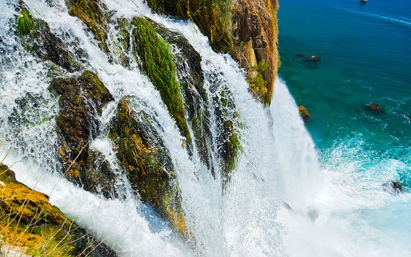 Et pour aller plus loin...