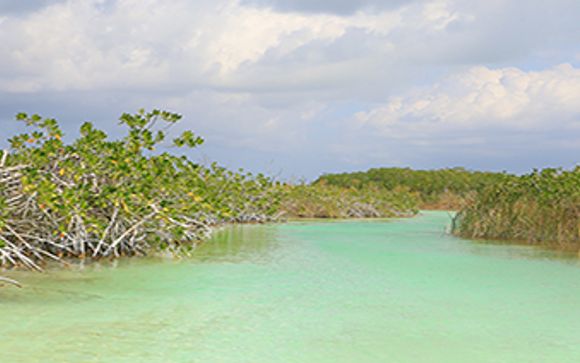 Mettez une option sur l’évasion