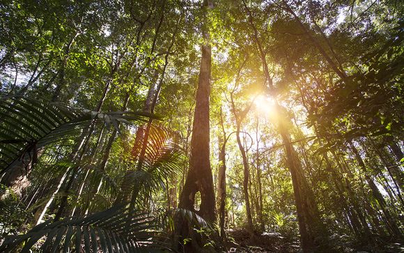 Zoom sur vos destinations