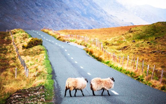 Welkom in... Ierland