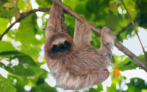 Nos petites astuces pour un séjour idéal