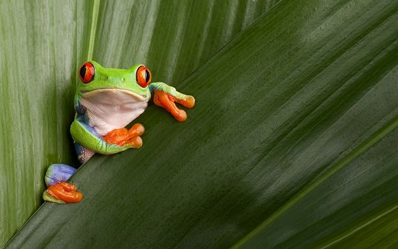 Votre circuit en un clin d'oeil