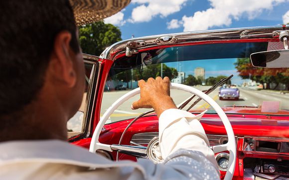 Vos excursions pour plus d