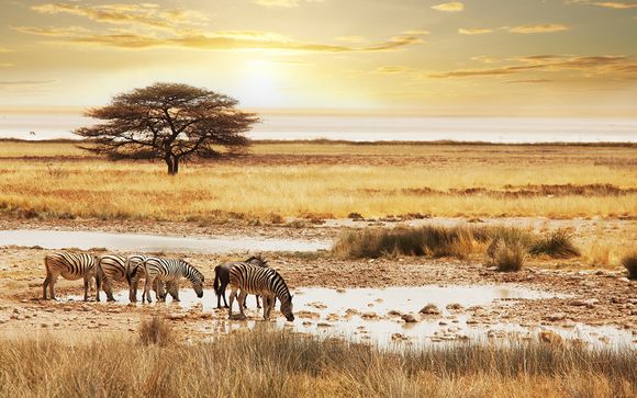 Rendez-vous... en Afrique du Sud