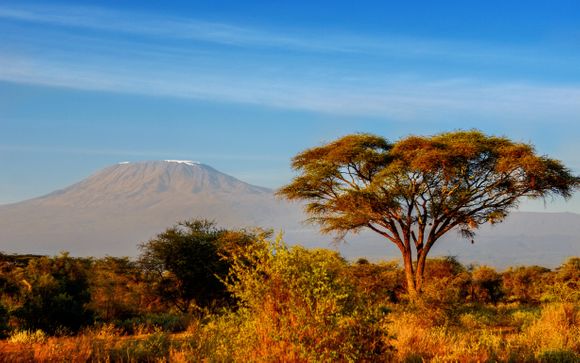 Uw safari van 3 nachten in Tsavo East, Amboseli en Taita Hills