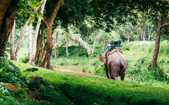 Votre circuit en un clin d'oeil