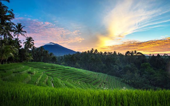 Welkom op ... Bali!