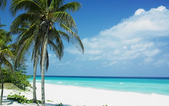 Rendez-vous... à Cuba