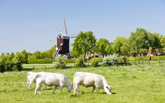 Welkom in ... Nord-Pas-de-Calais!