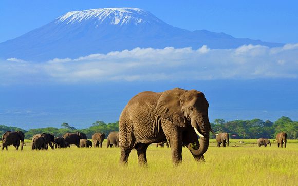 Rendez-vous... au Kenya