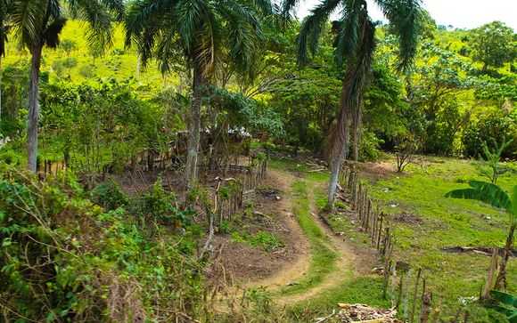 Et pour aller plus loin...