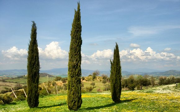 Welkom in... Toscane
