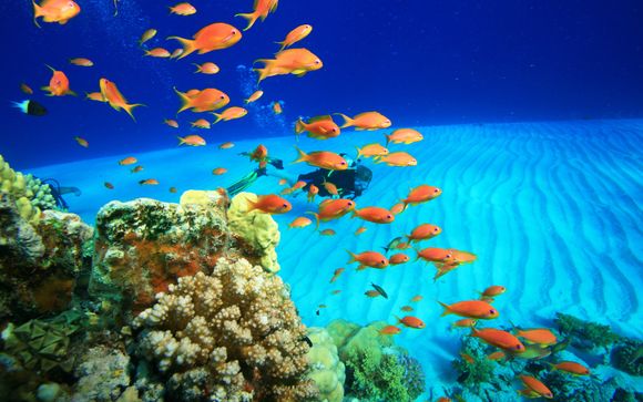 Et pour aller plus loin...