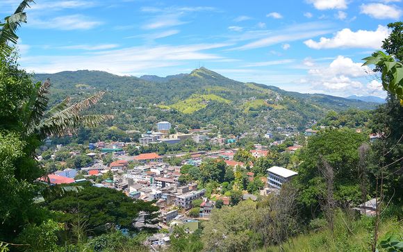 Zoom sur votre programme